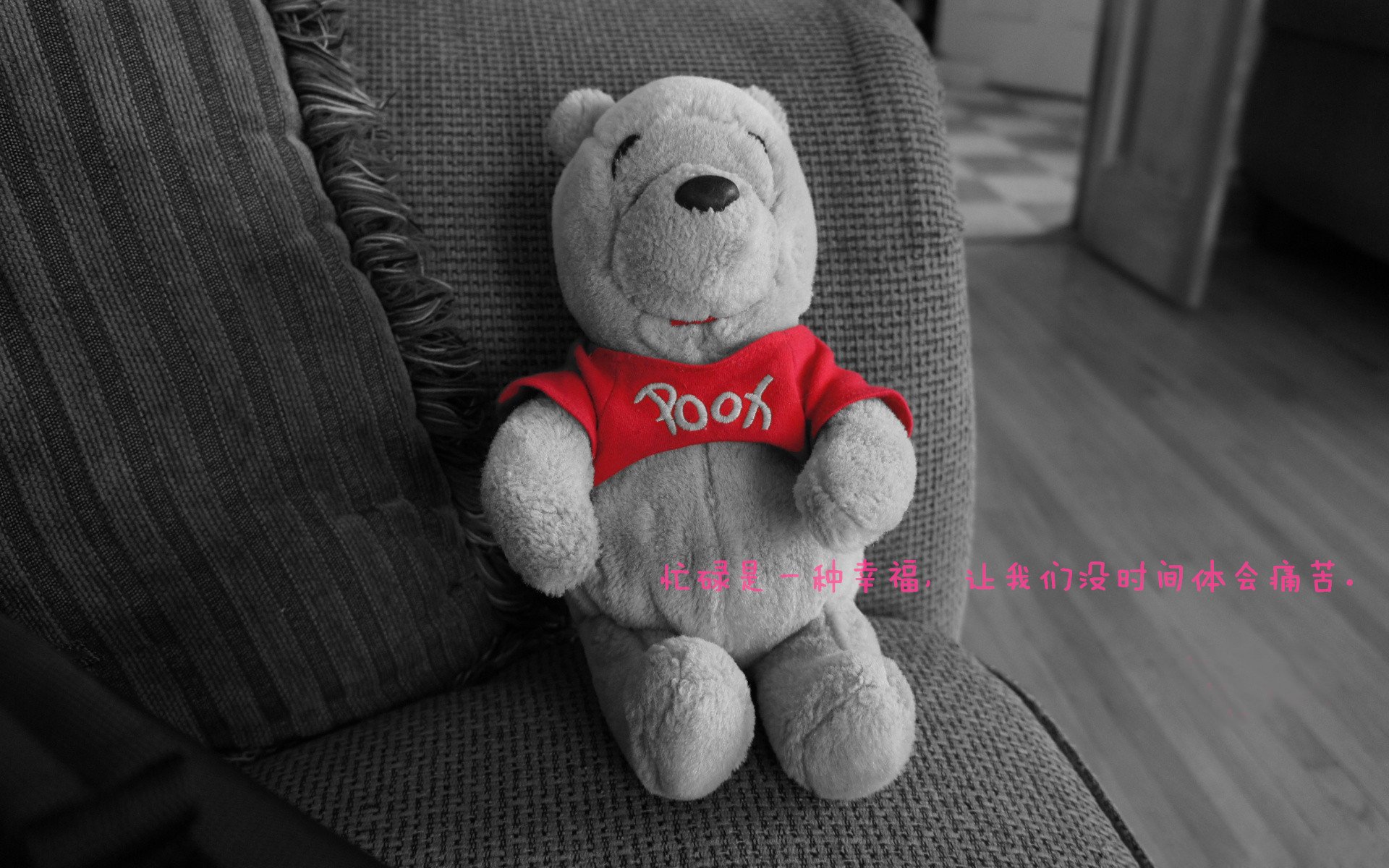 全景拍摄:360度观看台球比赛高清大屏,台球比赛录像