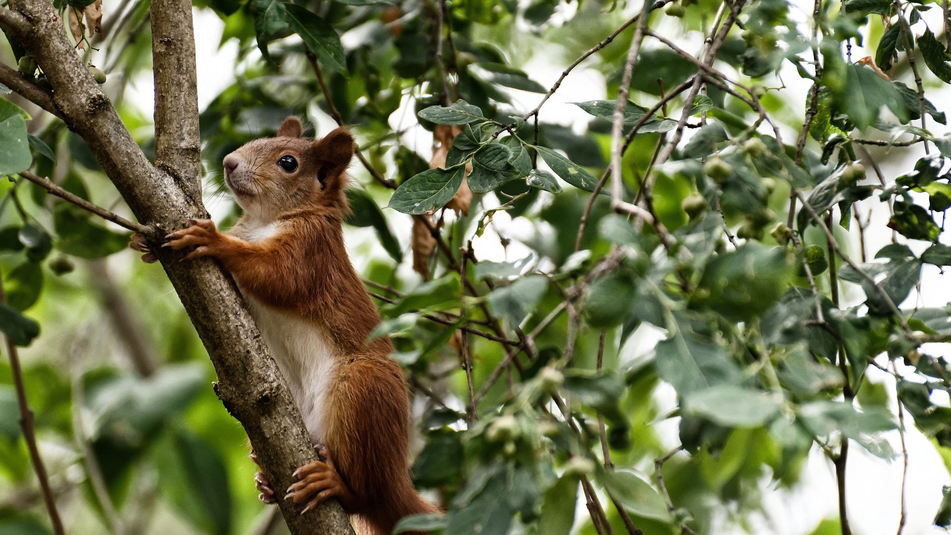关键比赛前瞻：谁能笑到最后？，关键时刻联赛